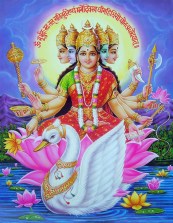 GayatriMa